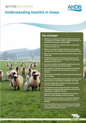 Understanding Mastitis in sheep front cover - image of flock of sheep and bullet points on the side